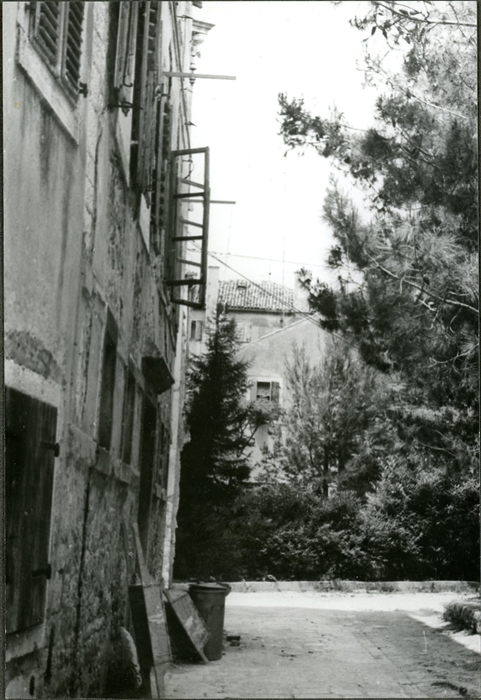Image description